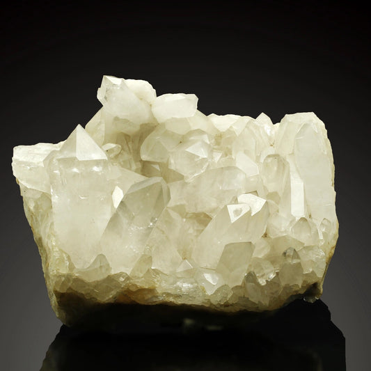 brazilian clear quartz crystal cluster with natural pointed terminations on black background - clearquartzshop