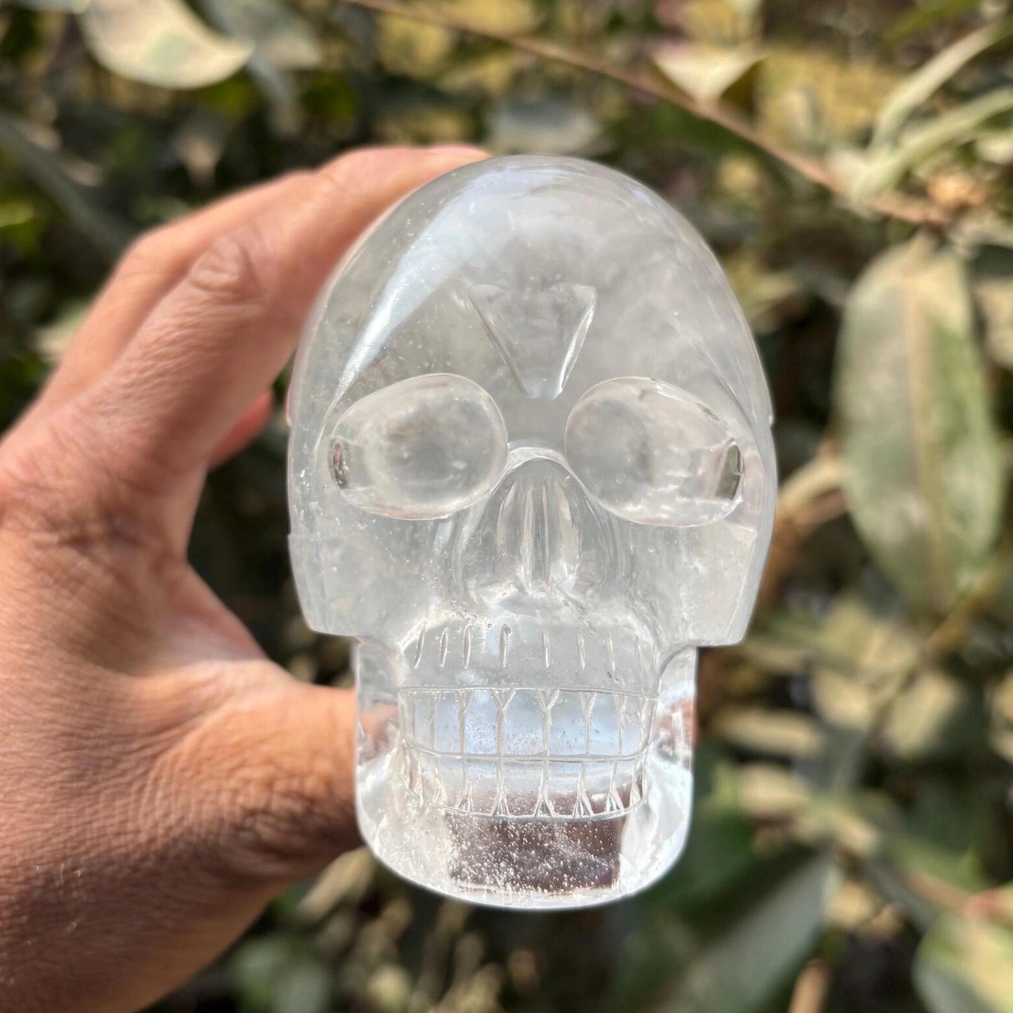close-up of himalayan clear quartz skull in natural light - clearquartzshop