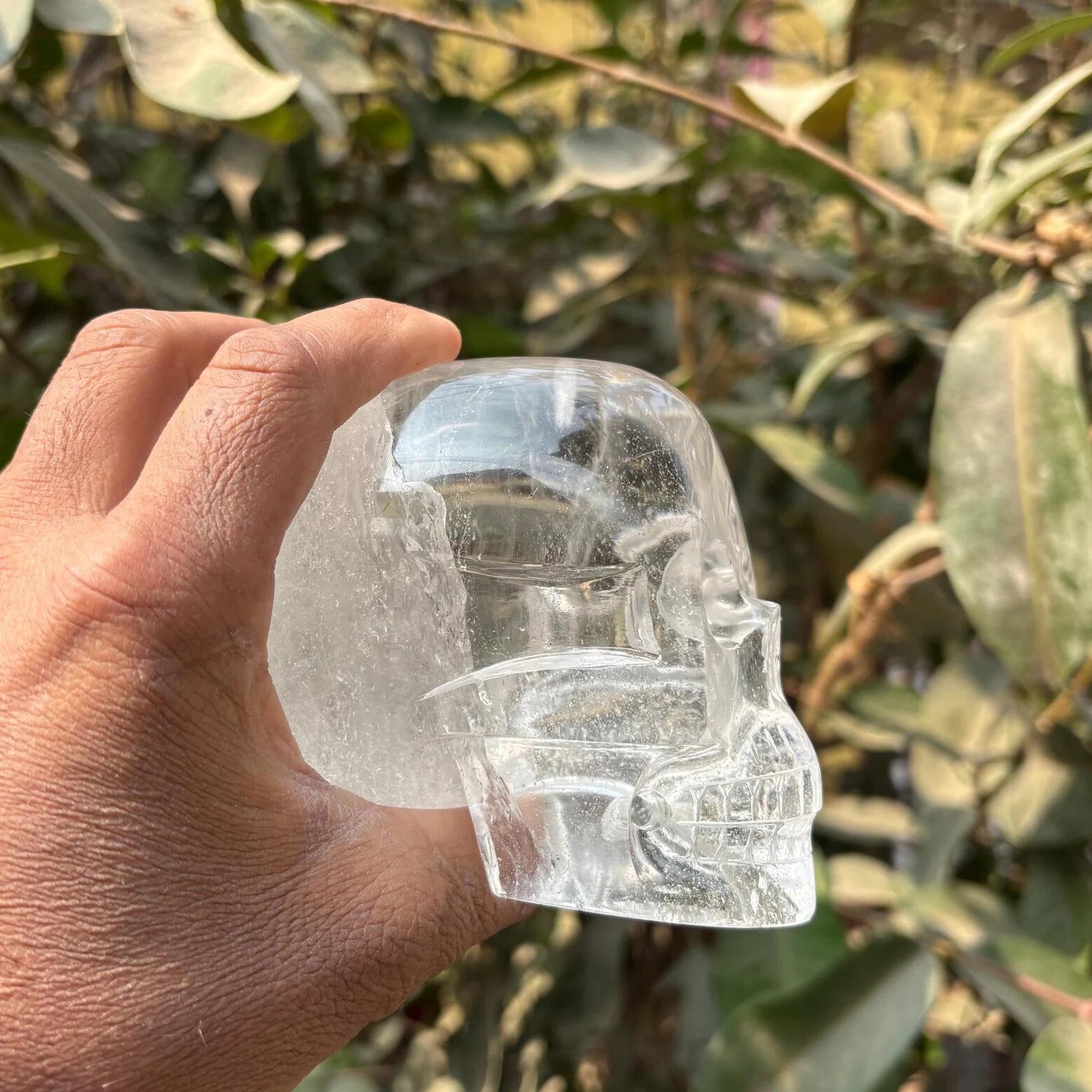 side view of himalayan clear quartz skull held in hand - clearquartzshop