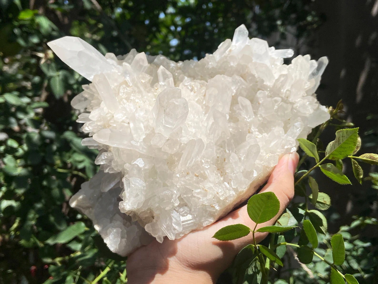 angled view of madagascar quartz cluster 1870g held in hand outdoors - clearquartzshop