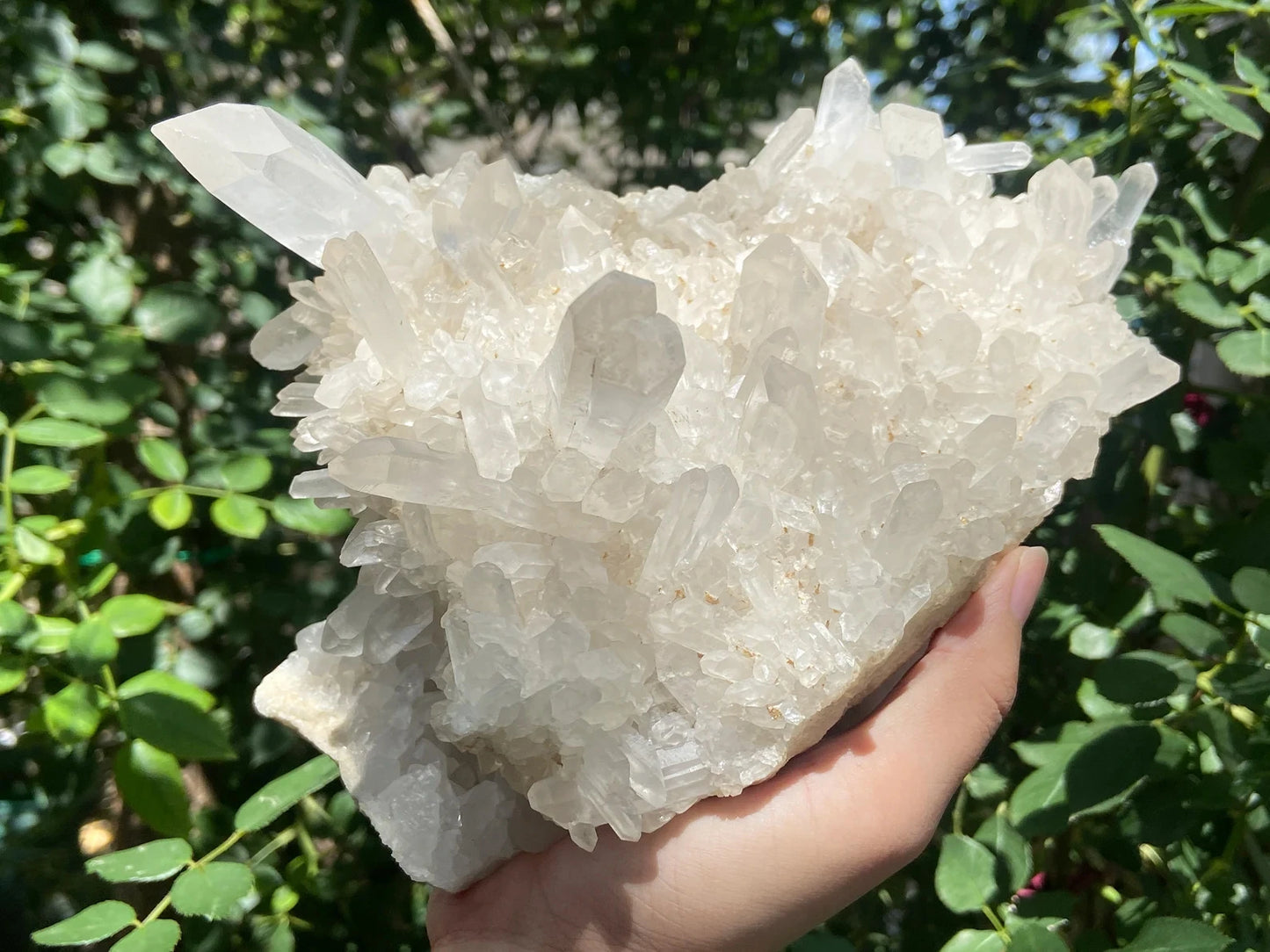 view of madagascar quartz cluster 1870g held in hand outdoors - clearquartzhop