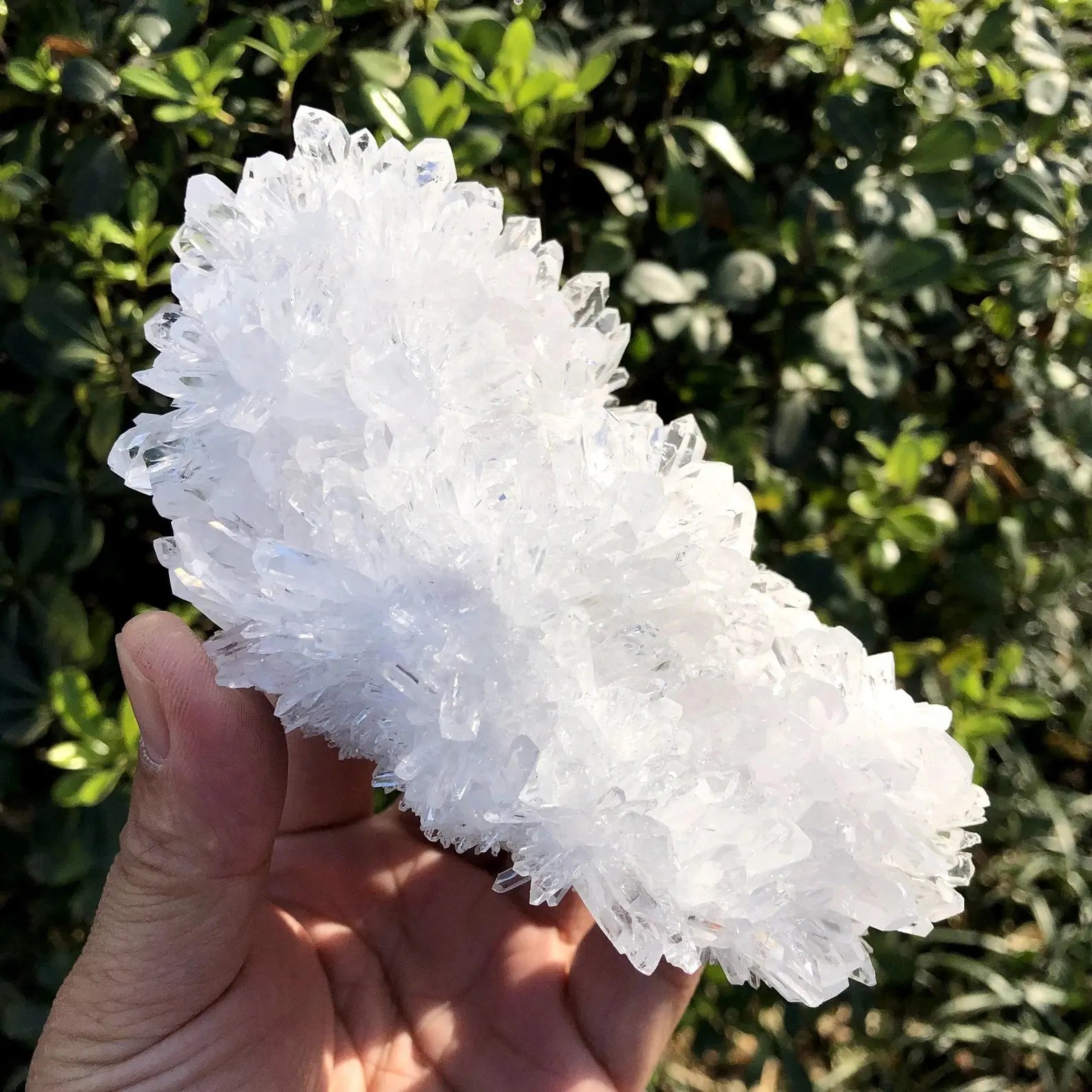 side view of natural quartz cluster with sharp white crystal points - clearquartzshop