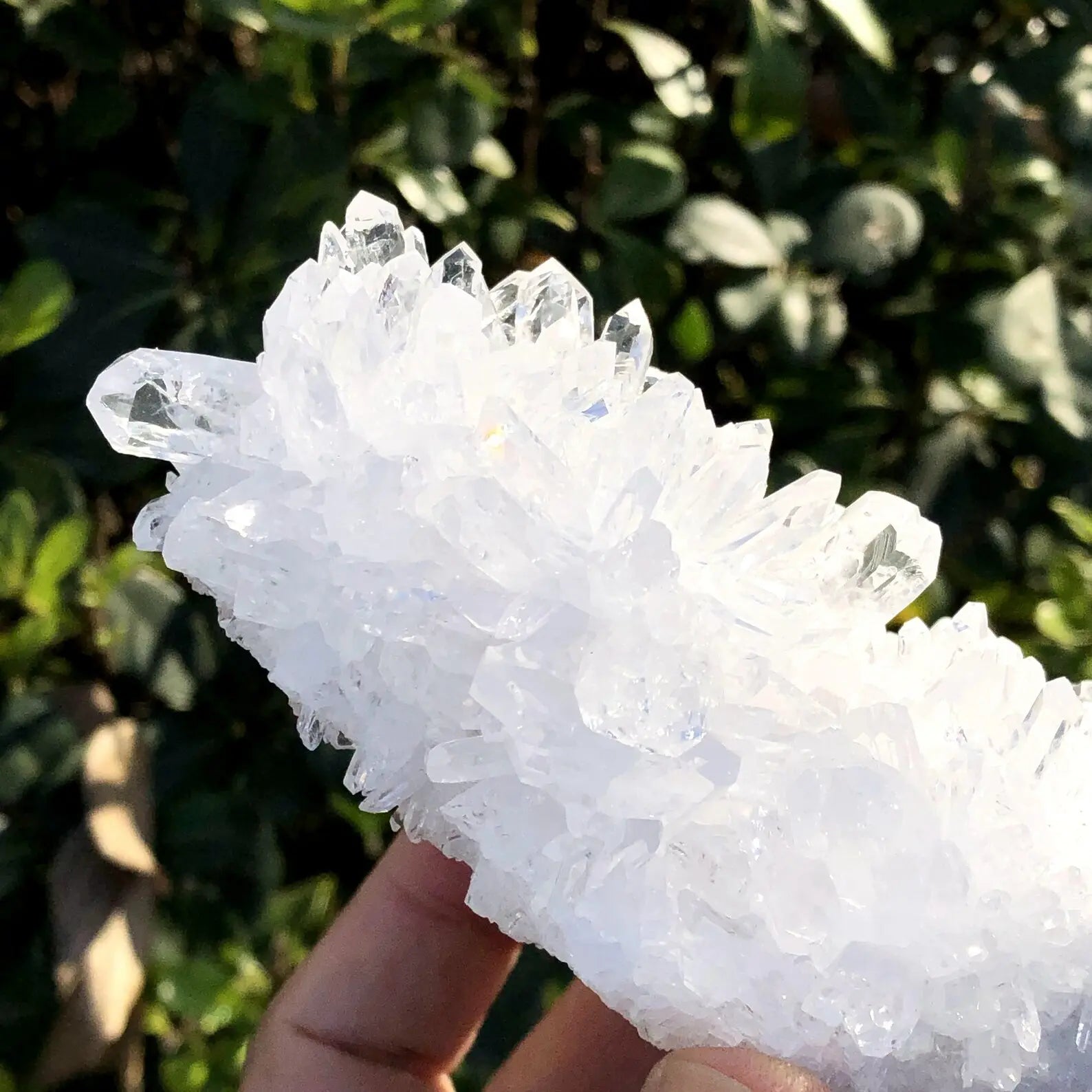 raw quartz cluster 725g with icy clear crystal growth - clearquartzshop