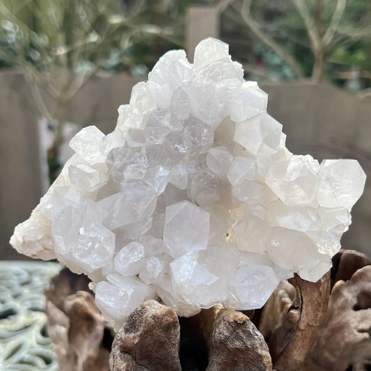 480g swiss alps clear quartz cluster, rare healing crystal - clearquartzshop